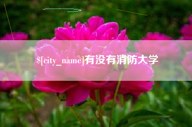 福安有没有消防大学