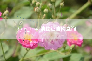 福安消控证官网查询