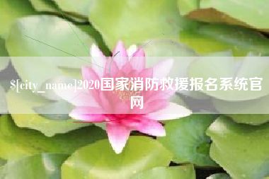 福安2020国家消防救援报名系统官网