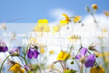 福安中国执行信息公开网查不到被执行人是不是已解除限高
