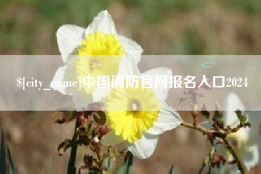 福安中国消防官网报名入口2024