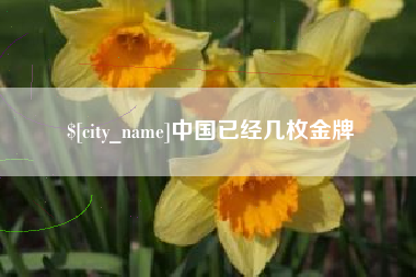 福安中国已经几枚金牌