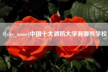 福安中国十大消防大学有哪些学校