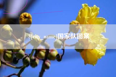 福安国家队图案