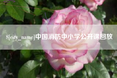 福安中国消防中小学公开课回放