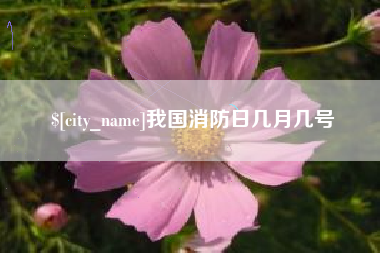福安我国消防日几月几号