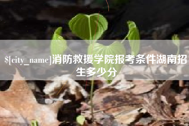 福安消防救援学院报考条件湖南招生多少分