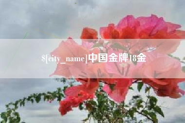 福安中国金牌18金