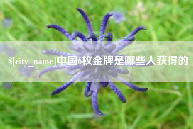 福安中国6枚金牌是哪些人获得的