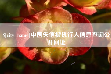 福安中国失信被执行人信息查询公开网址