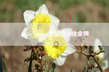 福安奥运会39块金牌