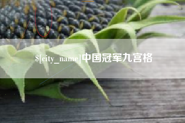 福安中国冠军九宫格