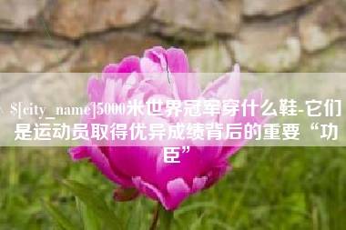 福安5000米世界冠军穿什么鞋-它们是运动员取得优异成绩背后的重要“功臣”