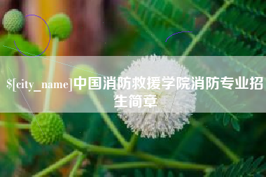 福安中国消防救援学院消防专业招生简章
