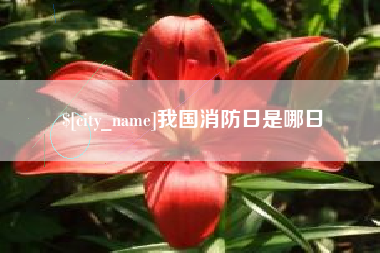 福安我国消防日是哪日
