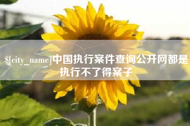 福安中国执行案件查询公开网都是执行不了得案子
