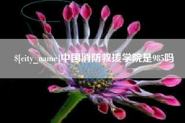 福安中国消防救援学院是985吗