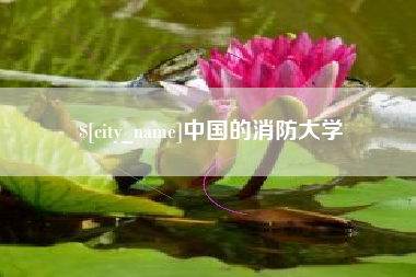 福安中国的消防大学
