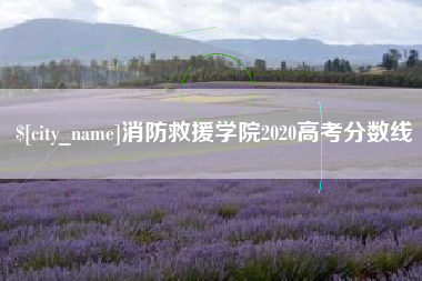 福安消防救援学院2020高考分数线