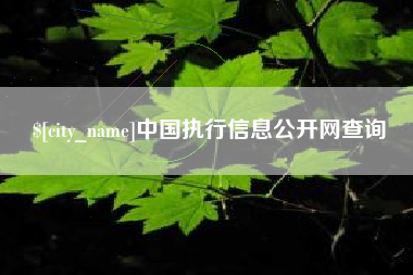 福安中国执行信息公开网查询