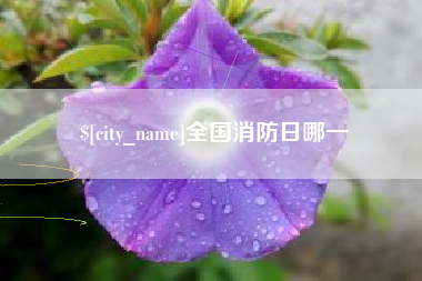 福安全国消防日哪一