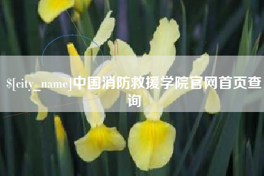 福安中国消防救援学院官网首页查询