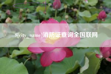 福安消防证查询全国联网