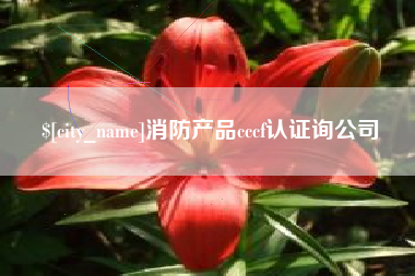 福安消防产品cccf认证询公司
