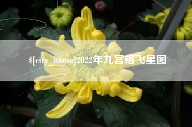 福安2022年九宫格飞星图