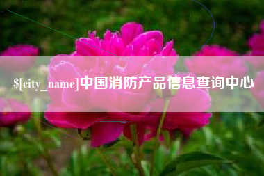 福安中国消防产品信息查询中心