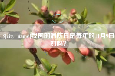 福安我国的消防日是每年的11月9日对吗？