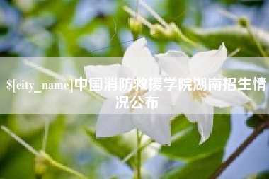 福安中国消防救援学院湖南招生情况公布