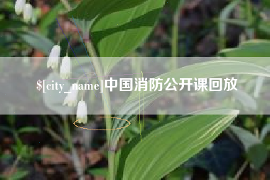 福安中国消防公开课回放