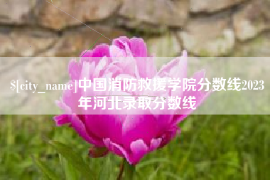 福安中国消防救援学院分数线2023年河北录取分数线