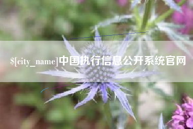 福安中国执行信息公开系统官网