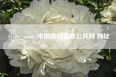 福安中国执行信息公开网 网址