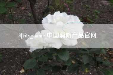 福安中国消防产品官网
