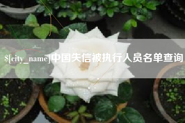 福安中国失信被执行人员名单查询
