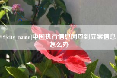 福安中国执行信息网查到立案信息怎么办