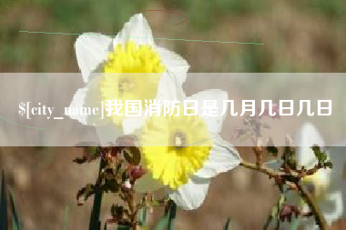 福安我国消防日是几月几日几日
