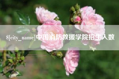 福安中国消防救援学院招生人数