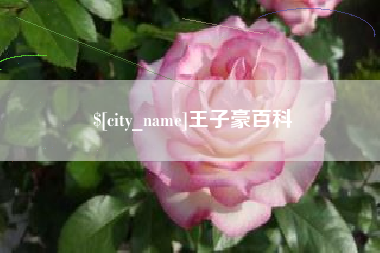 福安王子豪百科