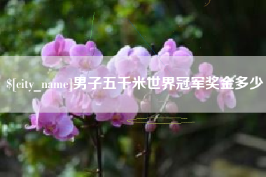 福安男子五千米世界冠军奖金多少