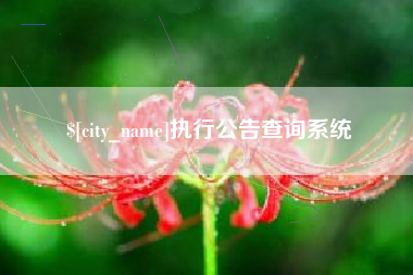 福安执行公告查询系统
