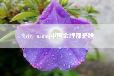 福安中国金牌都是啥