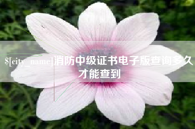 福安消防中级证书电子版查询多久才能查到