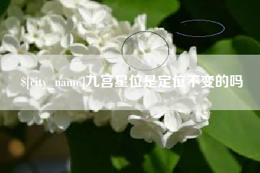 福安九宫星位是定位不变的吗
