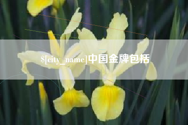 福安中国金牌包括