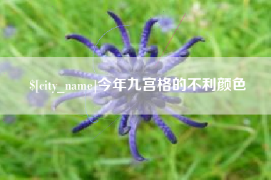 福安今年九宫格的不利颜色