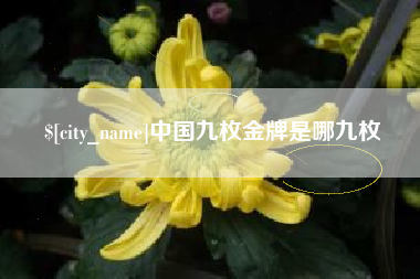 福安中国九枚金牌是哪九枚